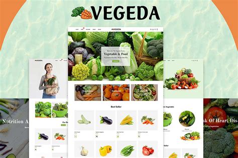 Vegeda: A Versatile Shopify Theme for Your Online Business